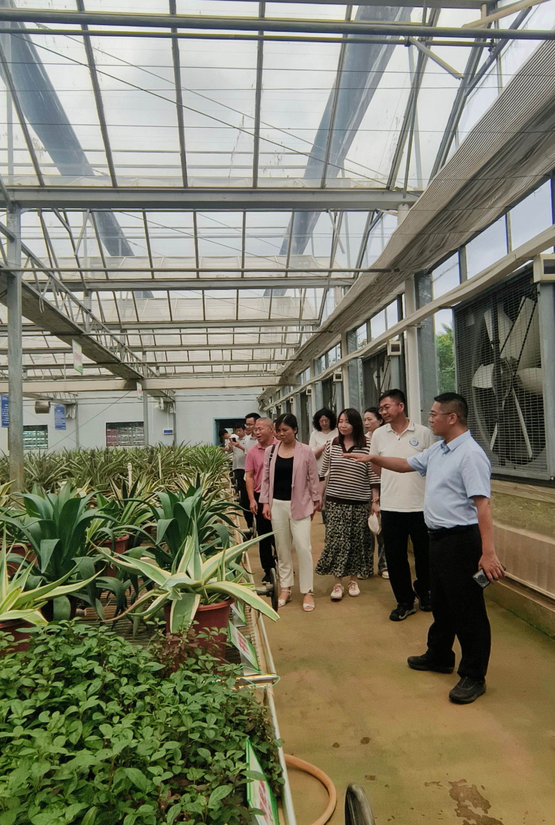 探访湛江农垦科研一线，共绘产学研融合发展新蓝图