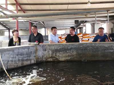 深入一线促创新 县科技局专题调研农业龙头企业，引领工程技术研究新发展