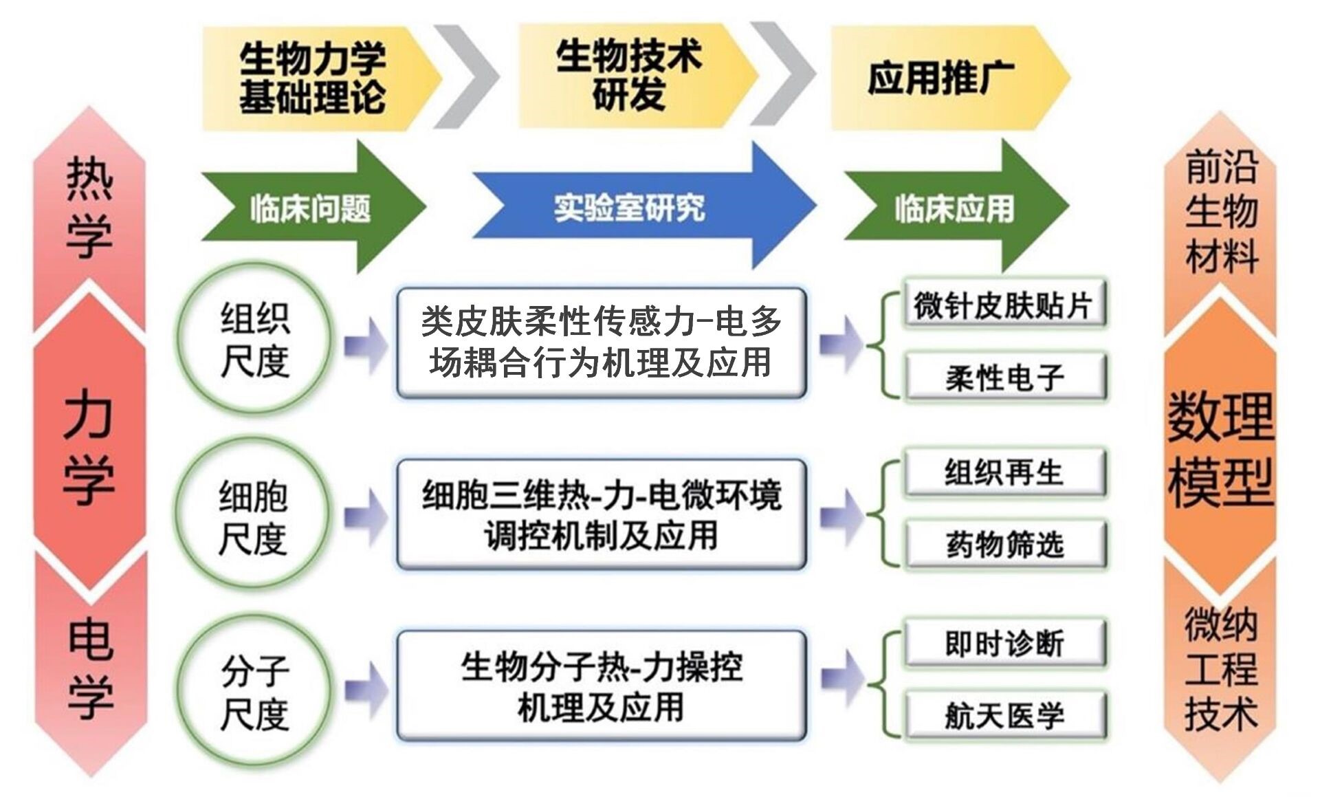 赋能生物医学未来 西安交通大学生物力学研究所诚邀科研英才加盟